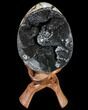 Septarian Dragon Egg Geode - Black Crystals #88161-1